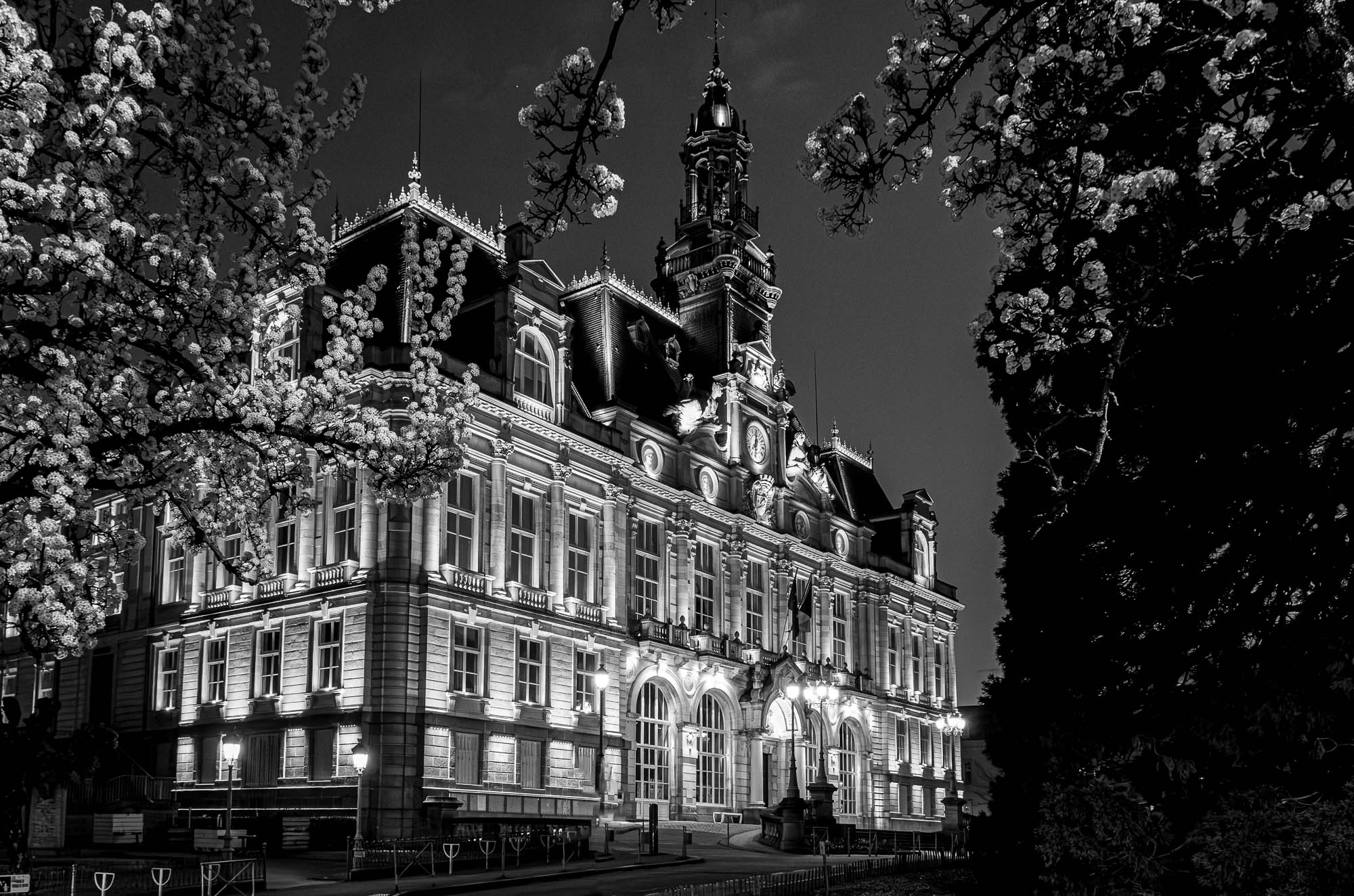 dk DSCF6511 20260314 limoges 2